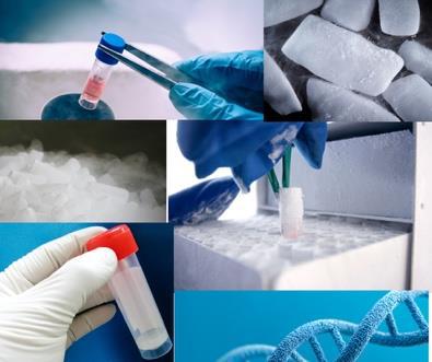 Pharma y Laboratorio